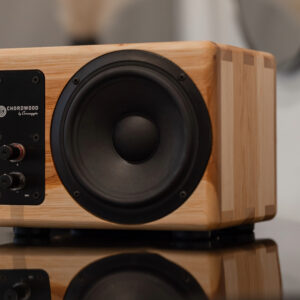 A Closeup of a Hickory Signature Series Chordwood Speaker with Passive Hookups in the front