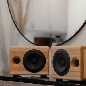 Close-up of a pair of small bookshelf speakers with hickory wood enclosures, showing a large woofer and a smaller tweeter on the left speaker.